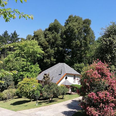 Hogsback Arminel Hotel Eksteriør bilde