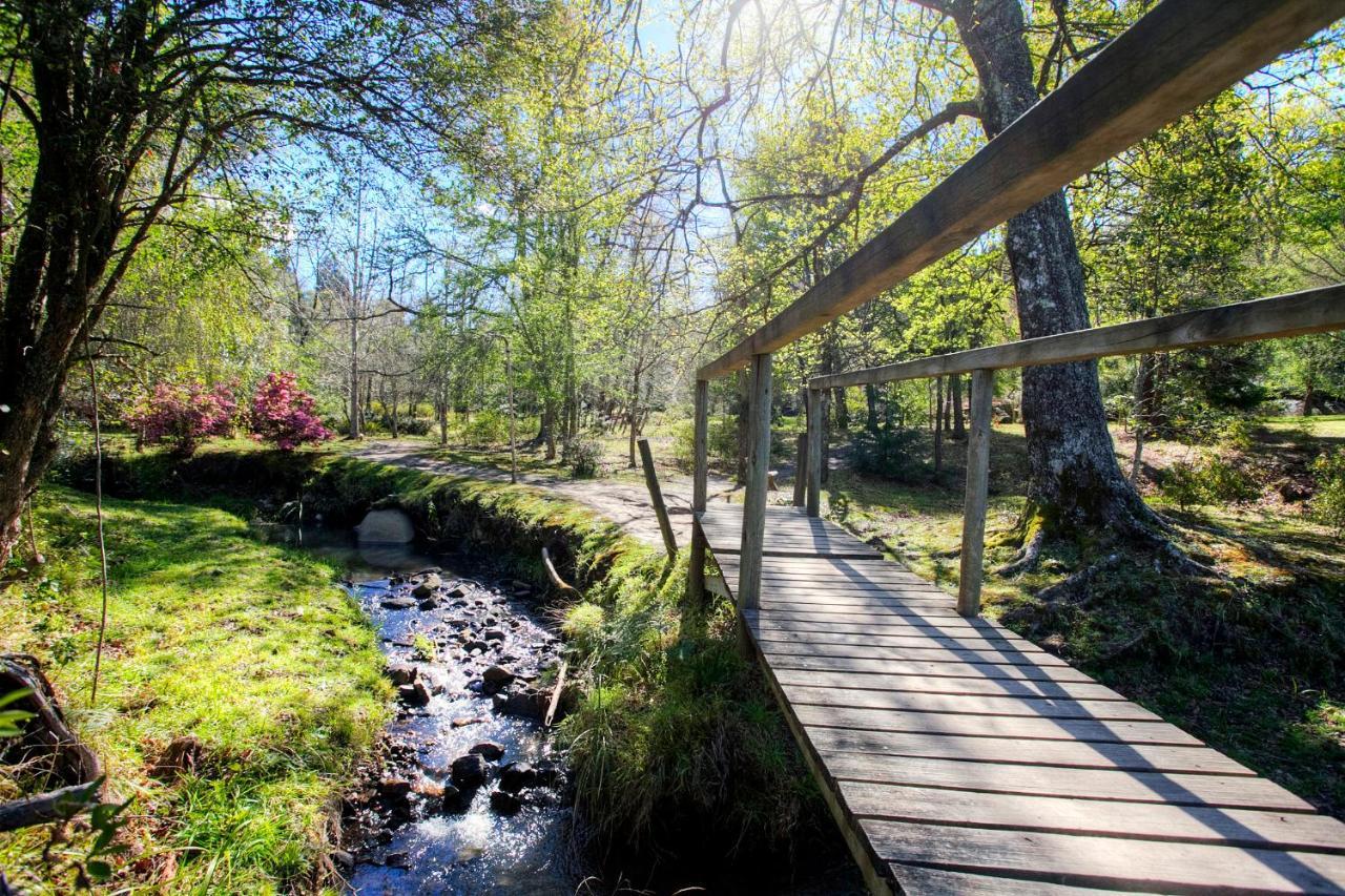 Hogsback Arminel Hotel Eksteriør bilde